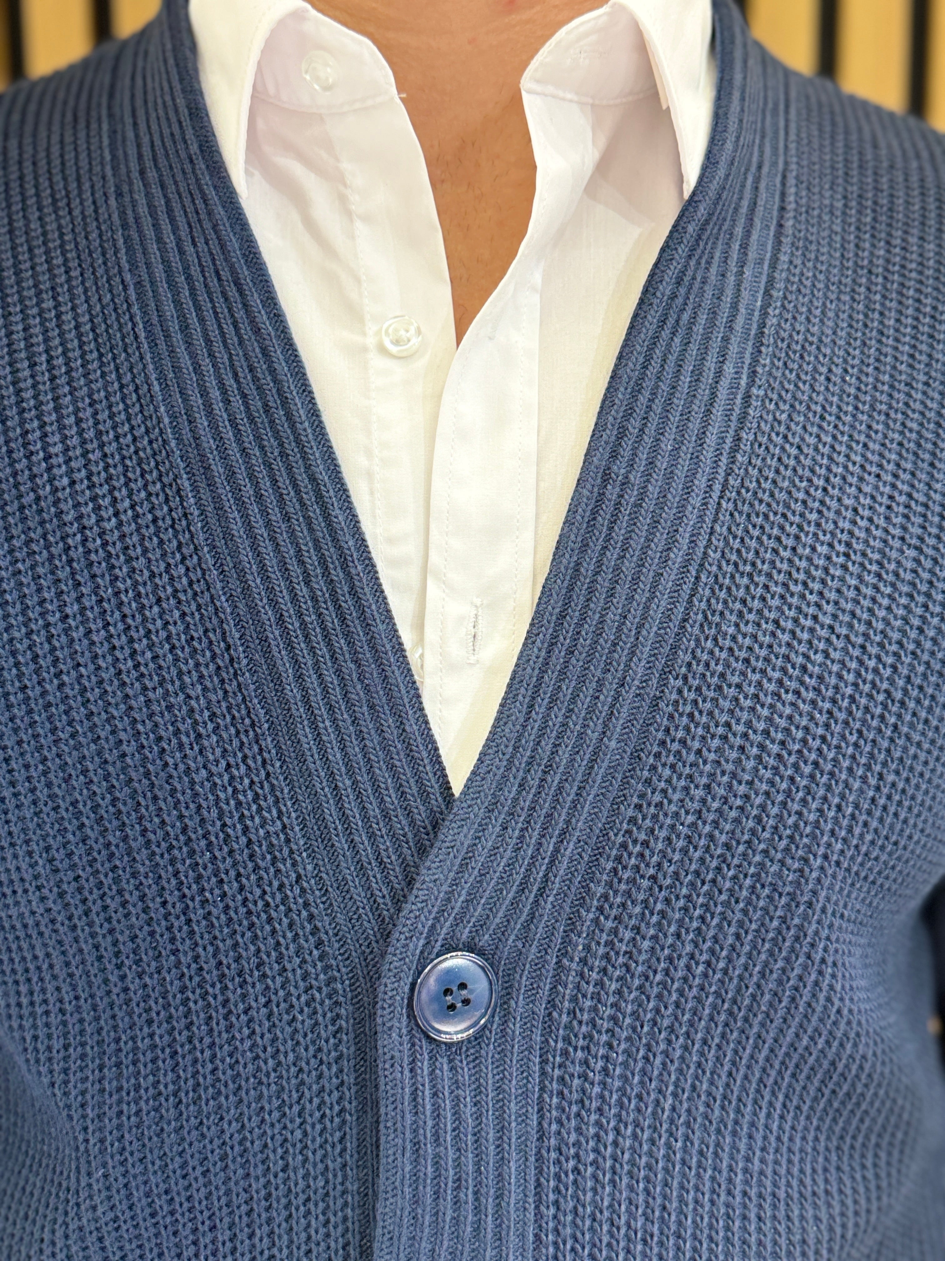 CarloFontana Heren Vest Brussel